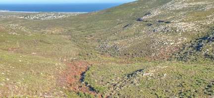 Silvermine River middle catchment looking towards Noordhoek 2022-04-09